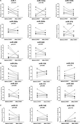 Circulating microRNAs in Response to Exercise Training in Healthy Adults